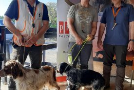 347275371_1167028234161359_7275091215051575134_n