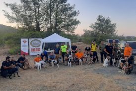 458981024_1423469391850574_1018571750731737814_n