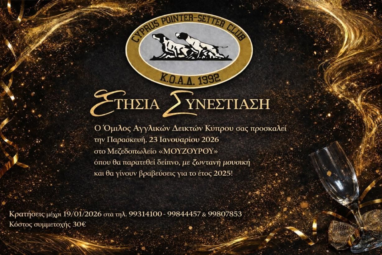 612686306_1786293055568204_431056139149835508_n