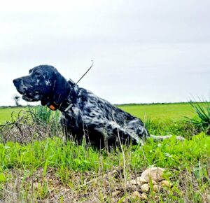 656497822_1845474052983437_594088671929924990_n