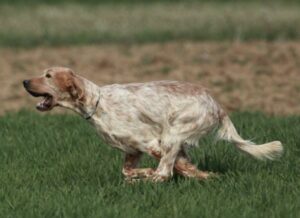 657204352_1845473826316793_5592972668434054761_n