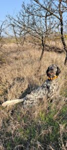 657417263_1845473962983446_358820864226163871_n