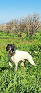 658923480_1845474006316775_5191057736349738018_n