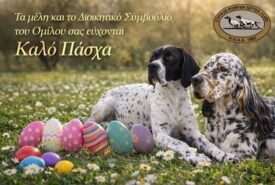 663270855_1855639345300241_8120659476794147239_n