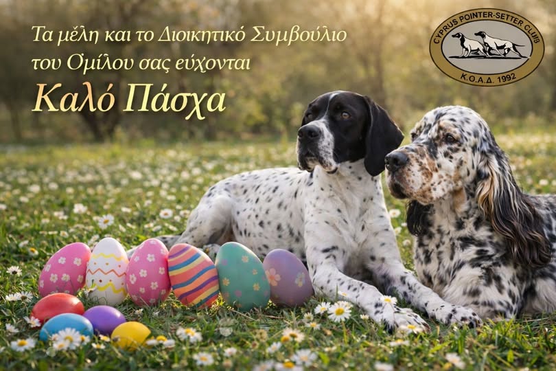 663270855_1855639345300241_8120659476794147239_n